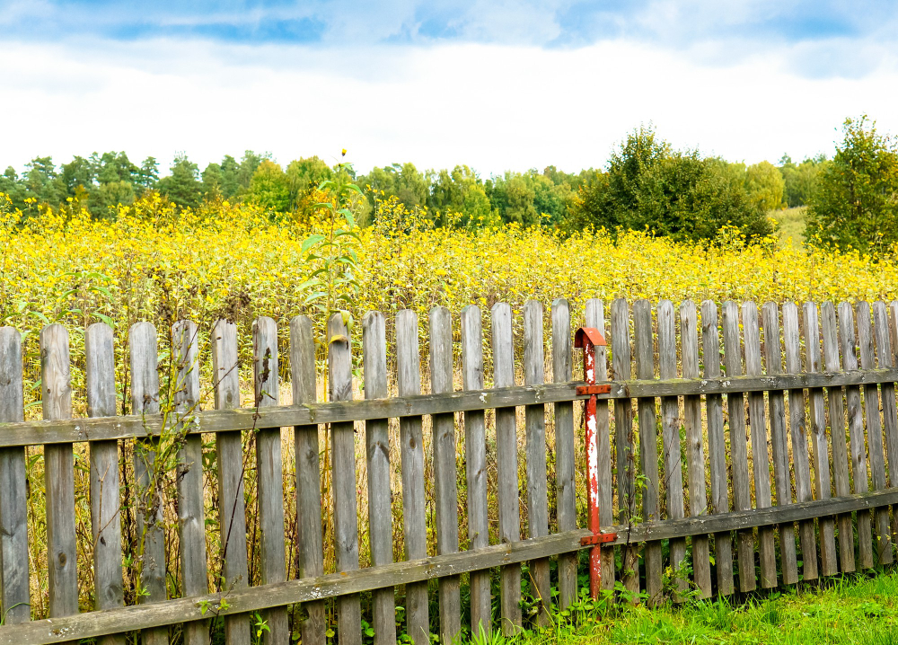 An Array of Fencing Options