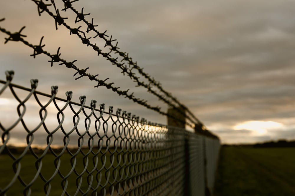 Chain Link Fences Chain Link Fences