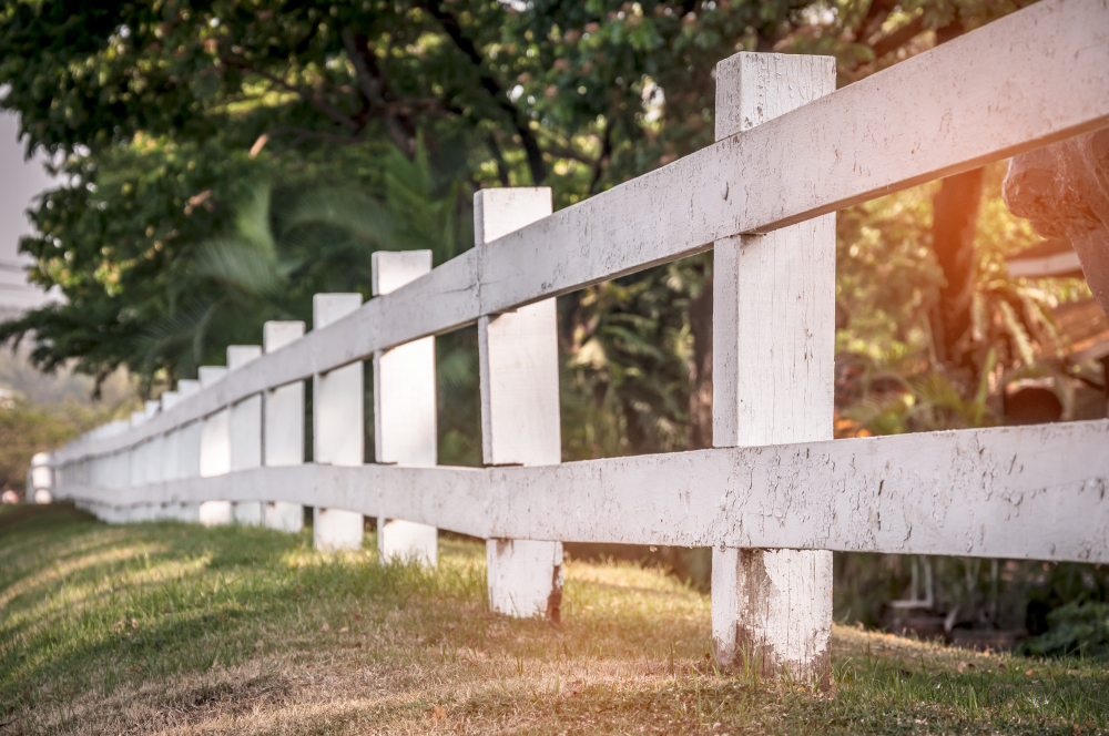 Farm Fencing Layout and Organization