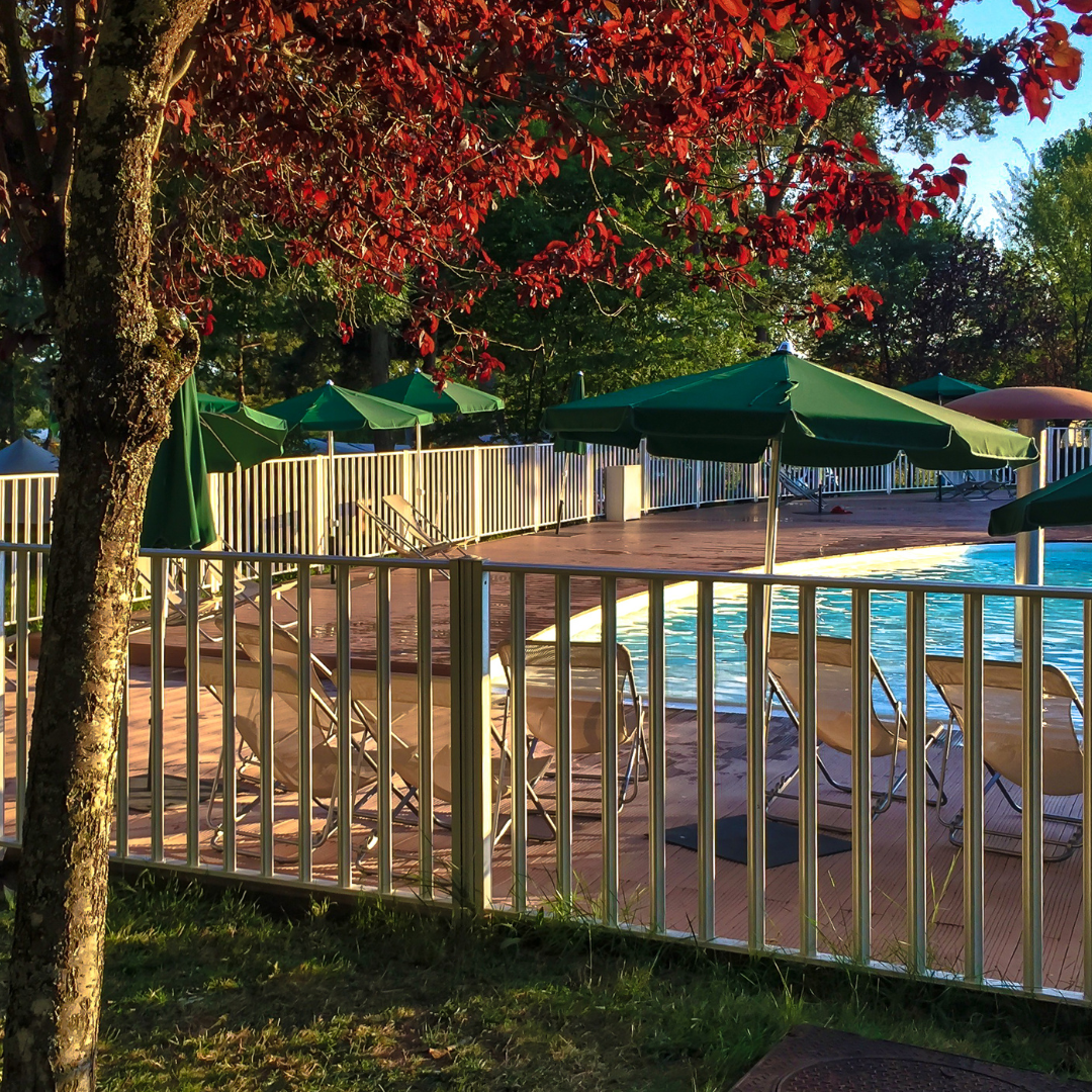 Pool Fencing by The Best Fence Company in Vancouver Pool Fencing by The Best Fence Company in Vancouver